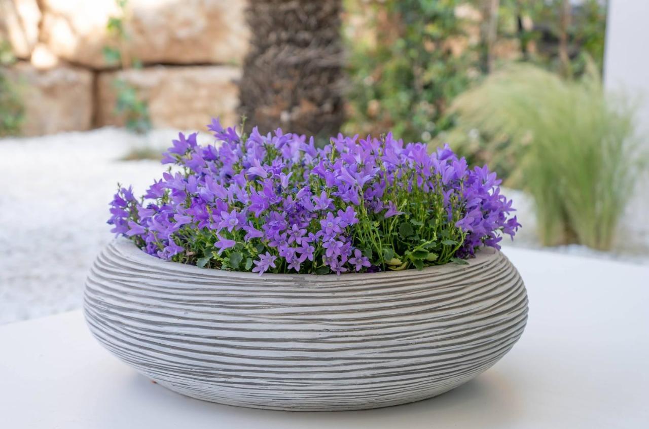 Casa Bodhi Boutique Hotel & Spa Marbella Eksteriør bilde
