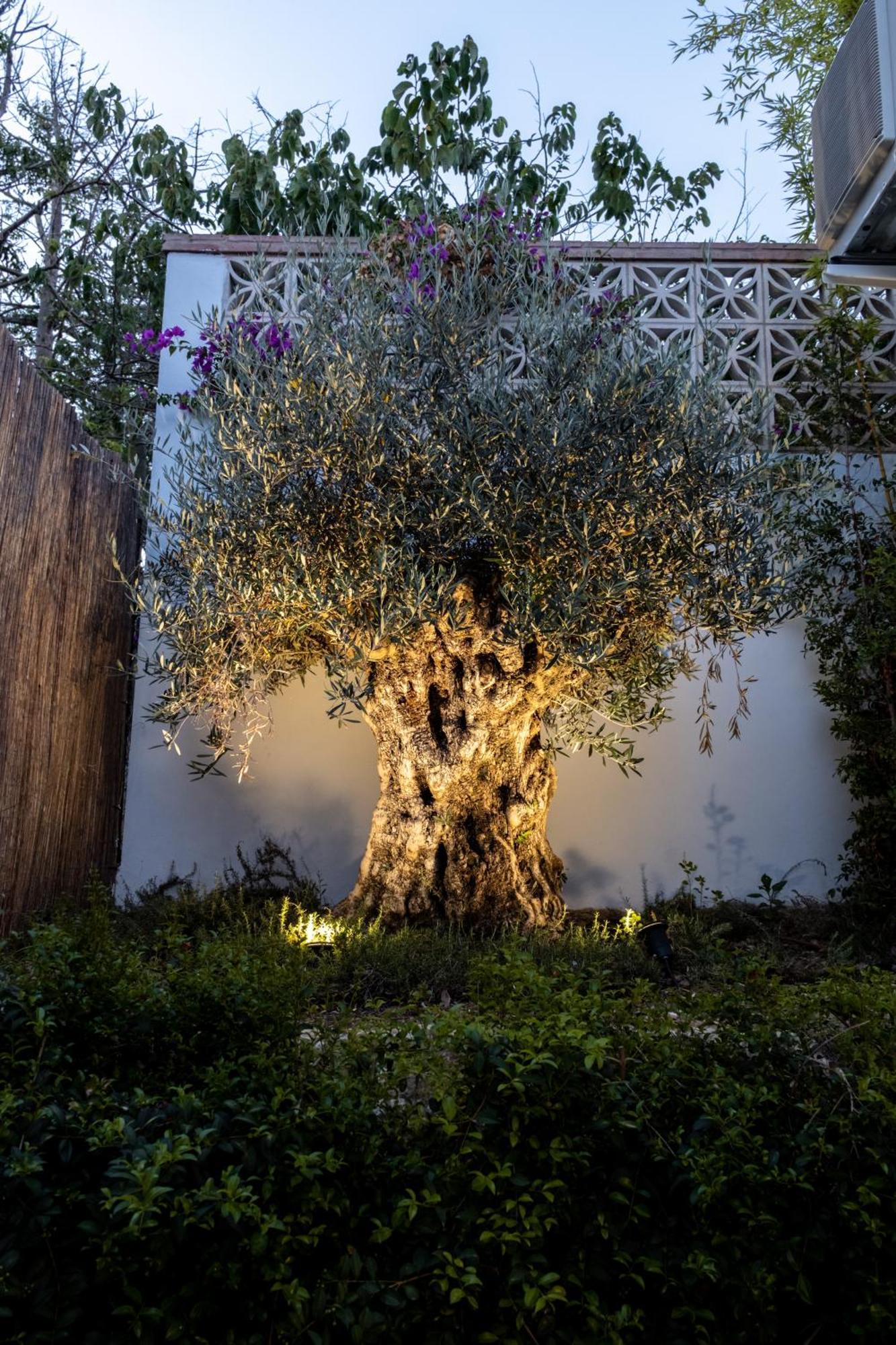 Casa Bodhi Boutique Hotel & Spa Marbella Eksteriør bilde